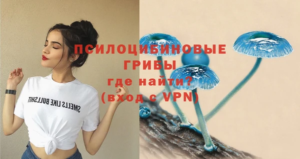 твердый Абдулино