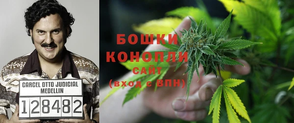 ГАЛЛЮЦИНОГЕННЫЕ ГРИБЫ Каменногорск