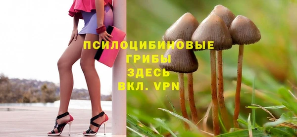 эйфоретик Абаза