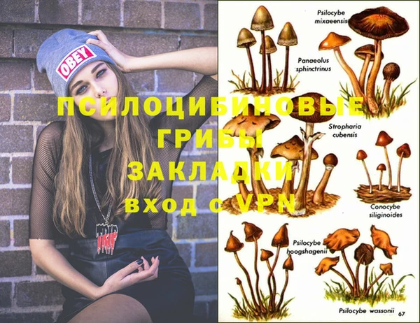 эйфоретик Абаза