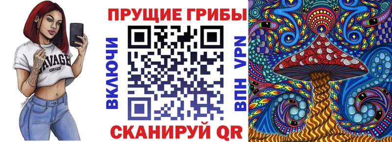 Псилоцибиновые грибы Psilocybine cubensis  Тотьма 